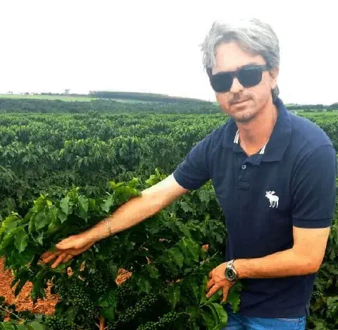 homem de meia-idade, com cabelos grisalhos e óculos de sol, em meio a uma vasta plantação de café. Ele ve