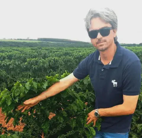 imagem retrata um homem de meia-idade, com cabelos grisalhos e óculos de sol, em meio a uma vasta plantação de café. Ele ve
