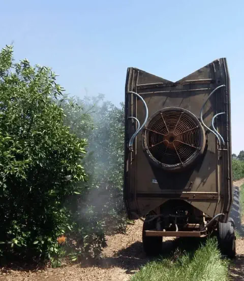 operação de pulverização em um pomar, provavelmente de citros como laranjeiras, em um dia ensolarado. Em