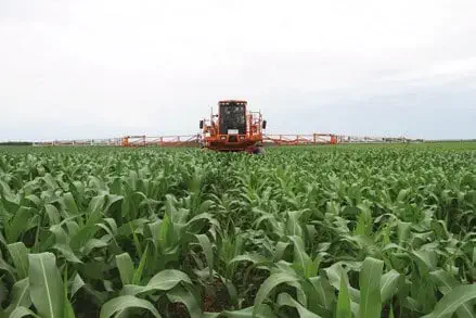 uma cena de agricultura moderna e em grande escala. Em primeiro plano, uma vasta plantação de milho verde e vi