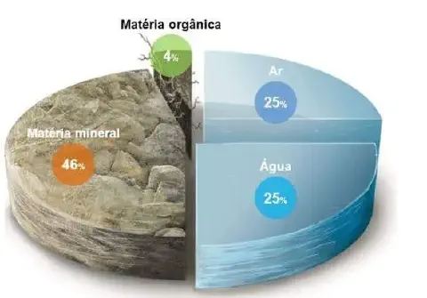 infográfico, em formato de gráfico de pizza, que ilustra a composição ideal de um solo fértil. Ele é visualment