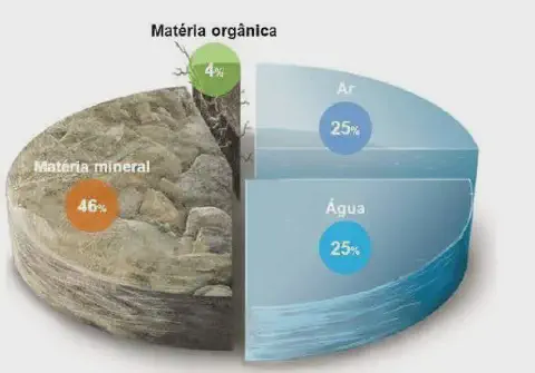 infográfico, em formato de gráfico de pizza, que ilustra a composição ideal de um solo fértil. Ele é visualment