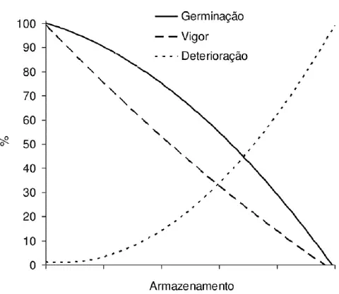 Este gráfico ilustra a relação entre o tempo de armazenamento de sementes e seus principais indicadores de qualidade. O eixo
