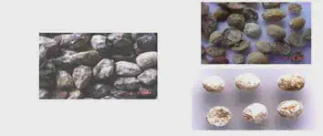 Esta imagem é uma composição de três fotografias que ilustram diferentes tipos de problemas de qualidade em grãos de soja apó