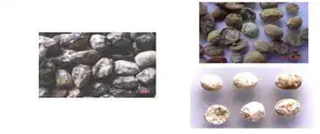 Esta imagem é uma composição de três fotografias que ilustram diferentes tipos de problemas de qualidade em grãos de soja apó