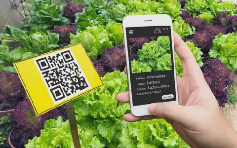 aplicação da tecnologia na agricultura moderna, focando na rastreabilidade e no acesso à informação.