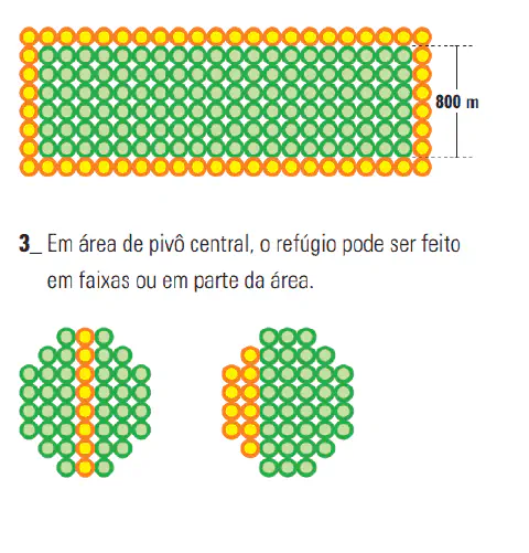 infográfico técnico que ilustra diferentes métodos para a implementação de áreas de refúgio em lavouras, uma pr