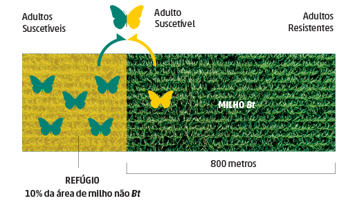 infográfico que explica de forma visual a estratégia do refúgio agrícola, uma prática essencial para o manejo d