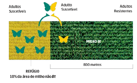 infográfico que explica de forma visual a estratégia do refúgio agrícola, uma prática essencial para o manejo d