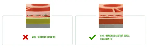 comparativo visual do tipo 'certo e errado' para a regulagem de um disco de plantio de soja. No lado es