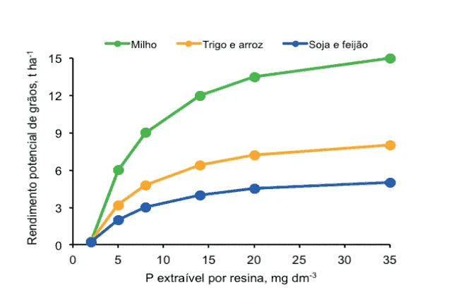 Relação entre Fósforo no Solo e Rendimento de Grãos gráfico de linhas que ilustra a correlação entre a disponibilidade de fósforo (P) no solo e o rendiment