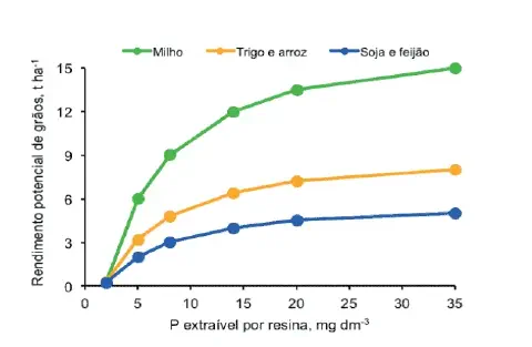 gráfico de linhas que ilustra a correlação entre a disponibilidade de fósforo (P) no solo e o rendiment
