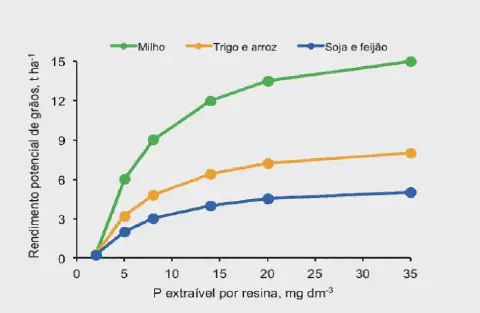 gráfico de linhas que ilustra a correlação entre a disponibilidade de fósforo (P) no solo e o rendiment
