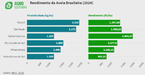 infográfico detalhado sobre o rendimento da aveia brasileira em 2024, com dados do IBGE. Ela é dividida