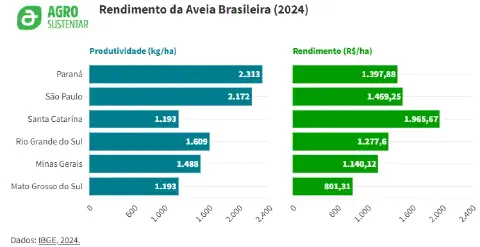 infográfico detalhado sobre o rendimento da aveia brasileira em 2024, com dados do IBGE. Ela é dividida