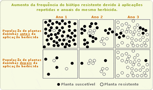 Este infográfico educacional ilustra o processo de seleção de biótipos de plantas daninhas resistentes a um determinado herbi