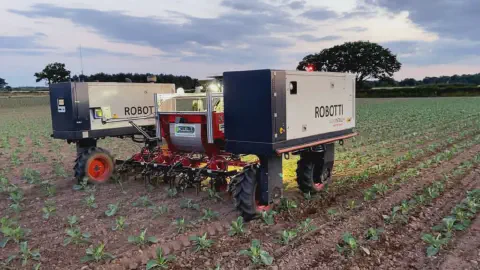 robô agrícola autônomo, modelo 'ROBOTTI', operando em uma lavoura durante o entardecer ou amanhecer. O equi