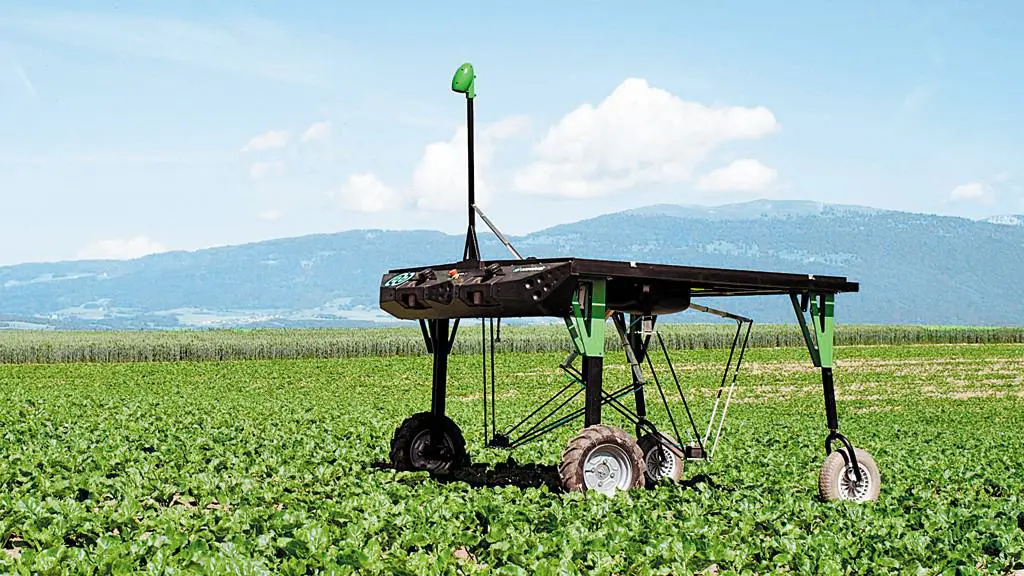 robô agrícola autônomo, de cor preta e verde, operando em uma extensa lavoura de folhagens verdes, como bet