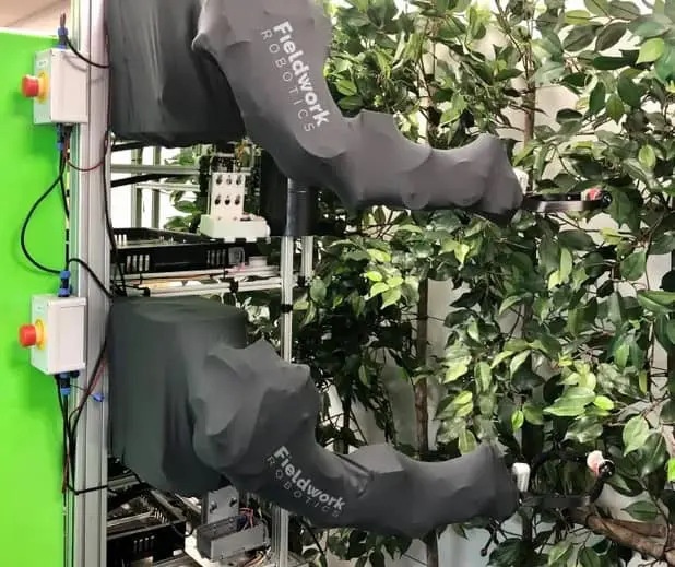 sistema robótico avançado, composto por dois braços mecânicos da empresa Fieldwork Robotics, operando em um