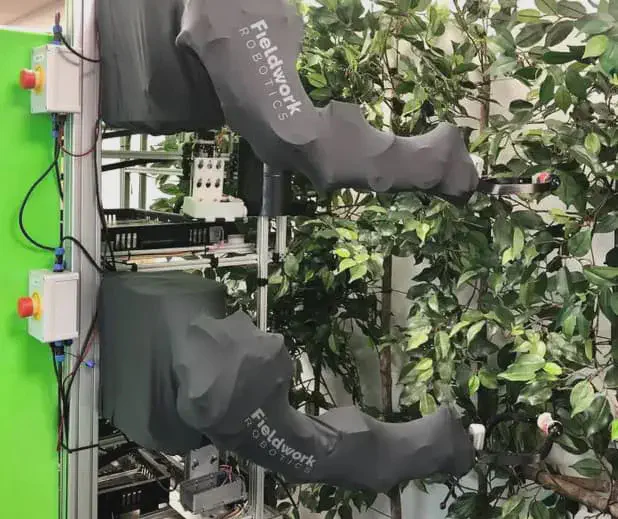 Robôs na Agricultura: A Tecnologia da Colheita Automatizada sistema robótico avançado, composto por dois braços mecânicos da empresa Fieldwork Robotics, operando em um