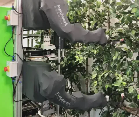sistema robótico avançado, composto por dois braços mecânicos da empresa Fieldwork Robotics, operando em um
