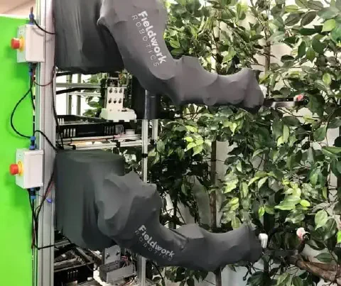 sistema robótico avançado, composto por dois braços mecânicos da empresa Fieldwork Robotics, operando em um