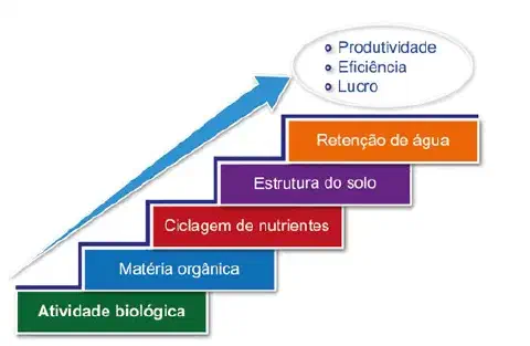 infográfico em formato de escada que ilustra a relação direta entre a saúde do solo e os resultados de uma