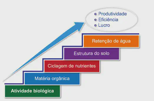 Saúde do Solo: O Caminho para Produtividade e Lucro infográfico em formato de escada que ilustra a relação direta entre a saúde do solo e os resultados de uma