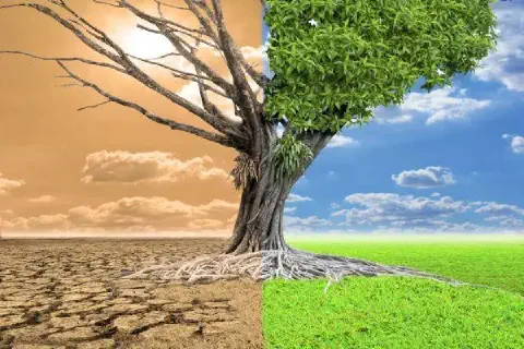 poderosa metáfora visual, dividida ao meio, que contrasta dois cenários ambientais opostos. Do lado es