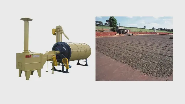 Secagem de Café: Secador Mecânico vs. Secagem em Terreiro composição que compara dois métodos de secagem de café, uma etapa crucial no processo de pós-colheita. À esque