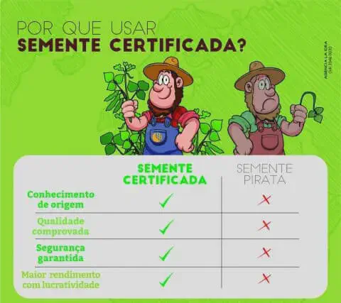 infográfico educativo com fundo verde que destaca os benefícios do uso de sementes certificadas em comparação c