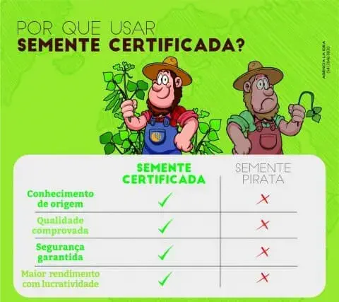 infográfico educativo com fundo verde que destaca os benefícios do uso de sementes certificadas em comparação c