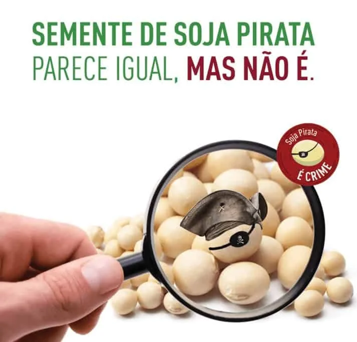 peça de conscientização sobre o uso de sementes de soja piratas. Em um fundo branco, uma mão segura uma lupa s