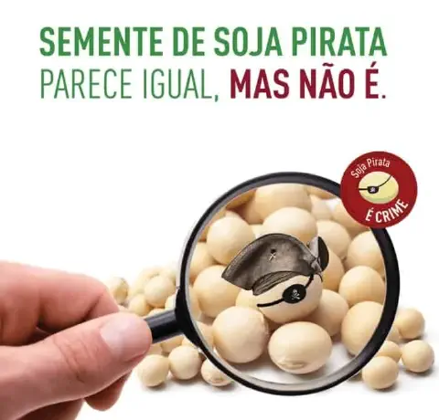 peça de conscientização sobre o uso de sementes de soja piratas. Em um fundo branco, uma mão segura uma lupa s