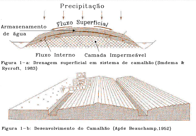 Sistema de Camalhão: Guia de Drenagem e Preparo do Solo diagrama técnico dividido em duas partes que ilustra o sistema de camalhão na agricultura. A primeira parte (Fi
