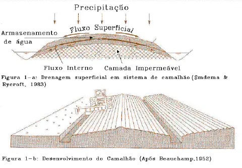 diagrama técnico dividido em duas partes que ilustra o sistema de camalhão na agricultura. A primeira parte (Fi