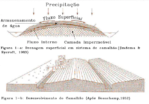 diagrama técnico dividido em duas partes que ilustra o sistema de camalhão na agricultura. A primeira parte (Fi