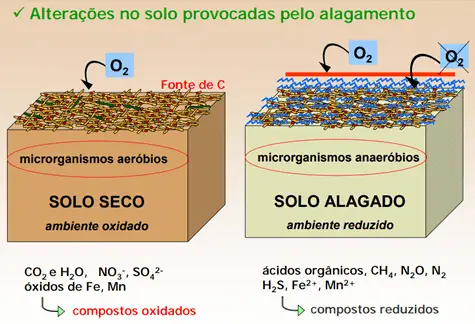 infográfico comparativo que ilustra as alterações químicas e biológicas que ocorrem no solo quando ele passa de