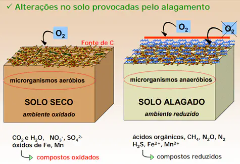 Solo Alagado: Alterações Químicas e Biológicas no Solo infográfico comparativo que ilustra as alterações químicas e biológicas que ocorrem no solo quando ele passa de