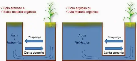 infográfico comparativo que ilustra a diferença na capacidade de retenção de água e nutrientes entre dois tipos