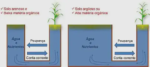 infográfico comparativo que ilustra a diferença na capacidade de retenção de água e nutrientes entre dois tipos