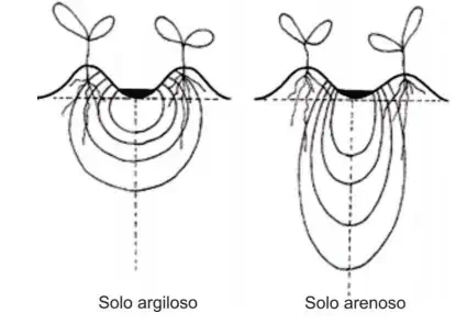diagrama técnico em preto e branco que compara a movimentação da água e/ou nutrientes em dois tipos de solo: ar