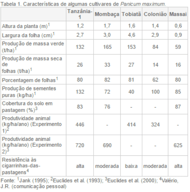 uma tabela técnica intitulada ‘Tabela 1. Características de algumas cultivares de Panicum maximum’. Ela aprese