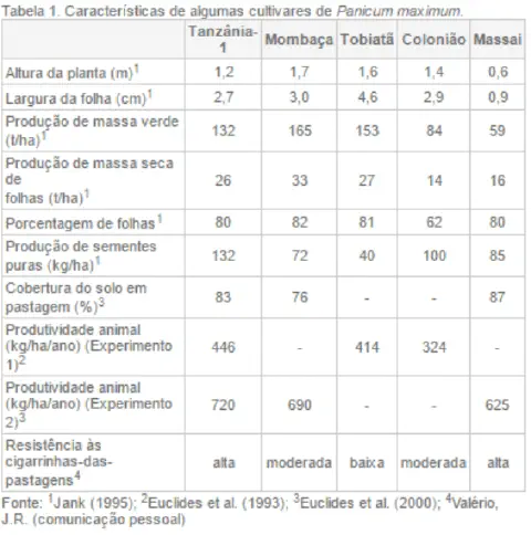 uma tabela técnica intitulada 'Tabela 1. Características de algumas cultivares de Panicum maximum'. Ela aprese