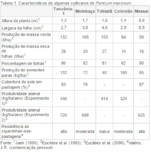 uma tabela técnica intitulada 'Tabela 1. Características de algumas cultivares de Panicum maximum'. Ela aprese