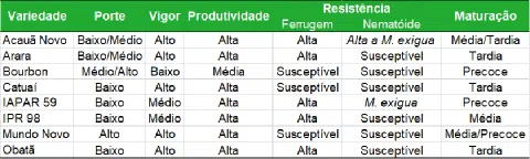 uma tabela comparativa detalhada de diferentes variedades de café, projetada para auxiliar produtores rurais n