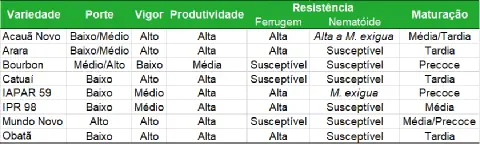uma tabela comparativa detalhada de diferentes variedades de café, projetada para auxiliar produtores rurais n