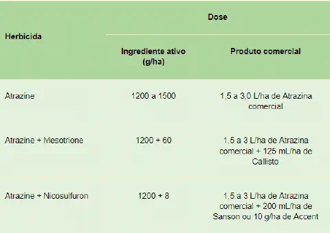 uma tabela informativa sobre a dosagem de herbicidas, focada no uso da Atrazina, tanto de forma isolada quanto