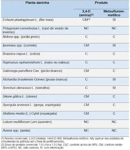 uma tabela técnica e informativa que compara a eficácia de dois produtos herbicidas, 2,4-D (amina) e Metsulfur