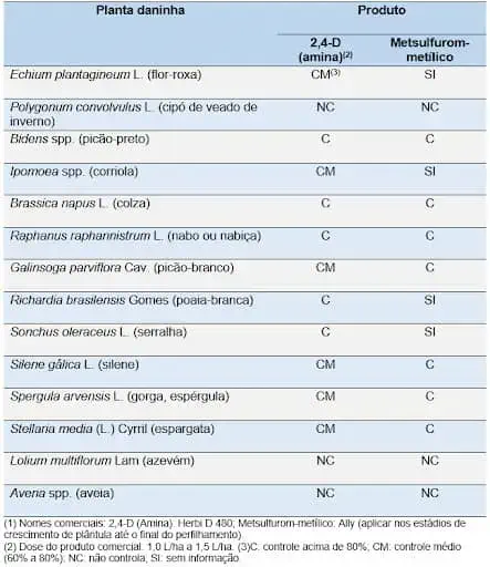 uma tabela técnica e informativa que compara a eficácia de dois produtos herbicidas, 2,4-D (amina) e Metsulfur